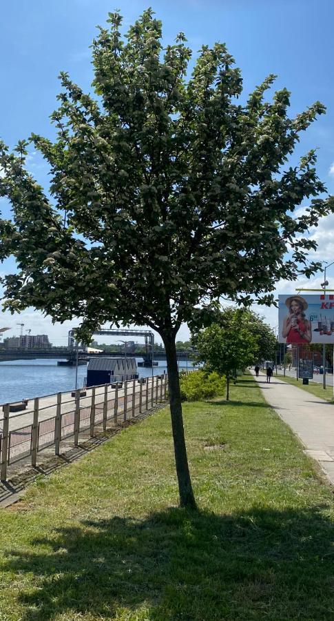 Floating Apartments - Odra Dream Szczecin Zewnętrze zdjęcie